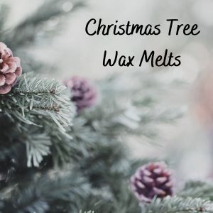 Christmas Tree - Soy Melt Set of 2 Apples and Cinnamon, Candles, Fall Scents, For Sale, New, Primitive Candles, Wax Melts