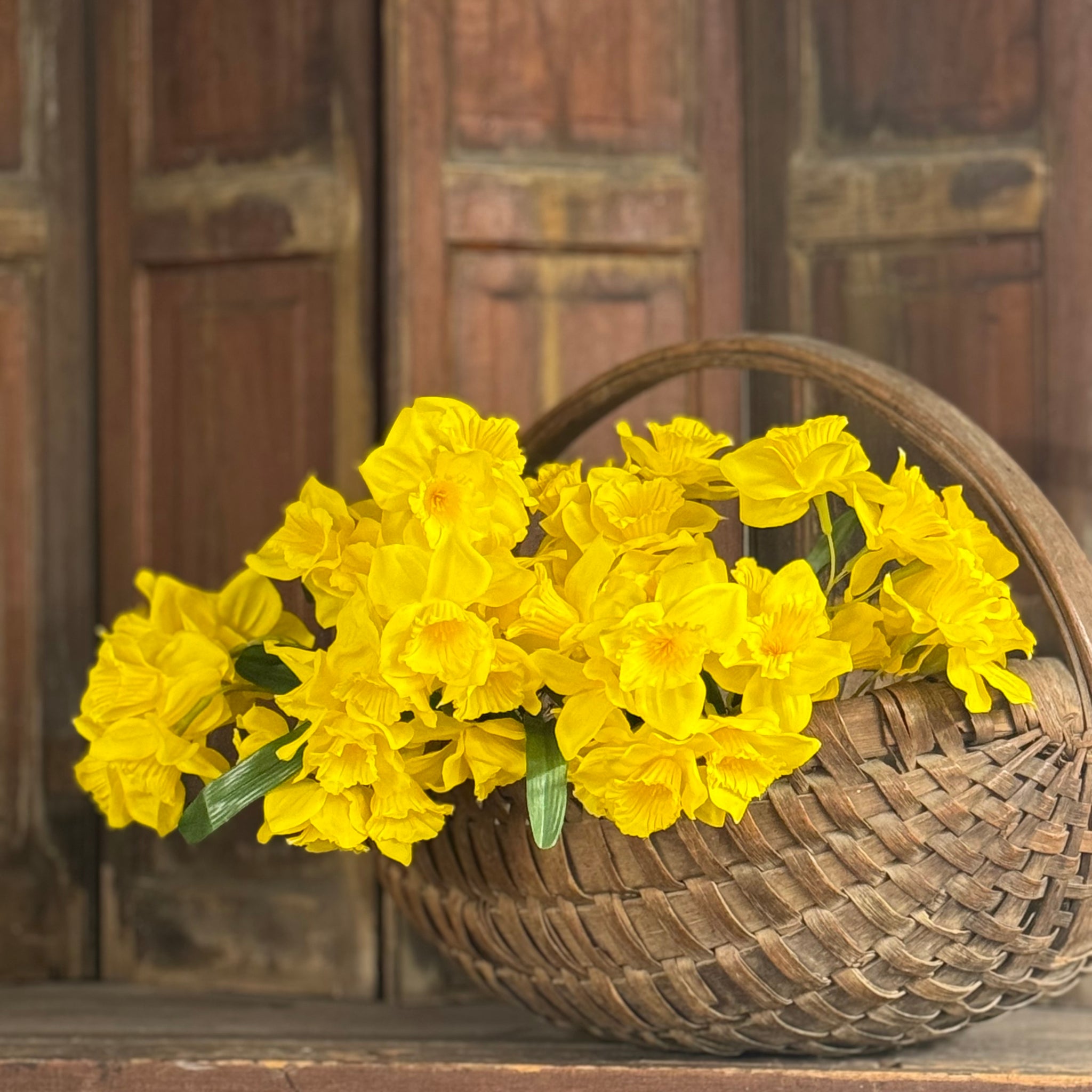 Daffodil Stems - Set of 2