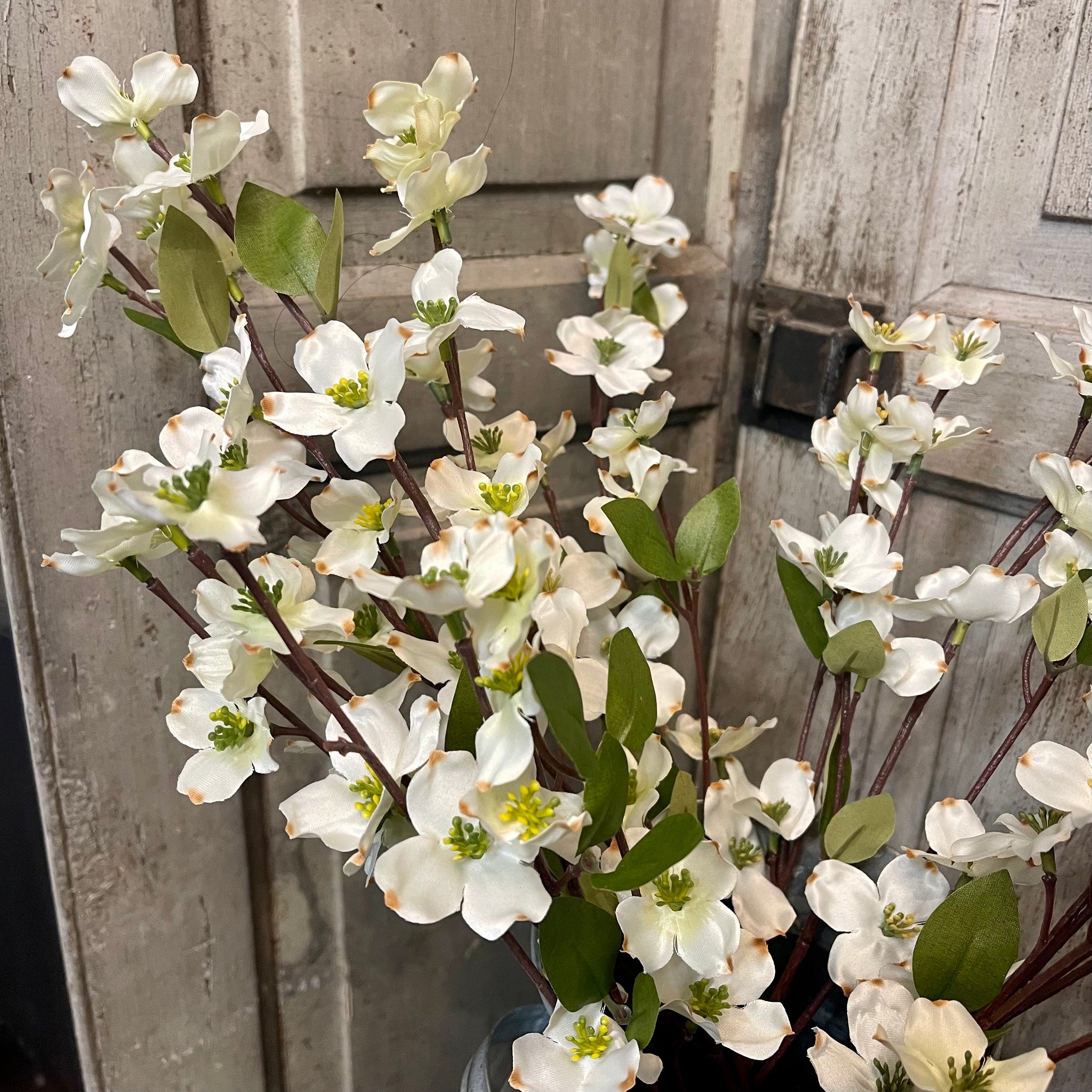 White Dogwood Flowers - Set of 5