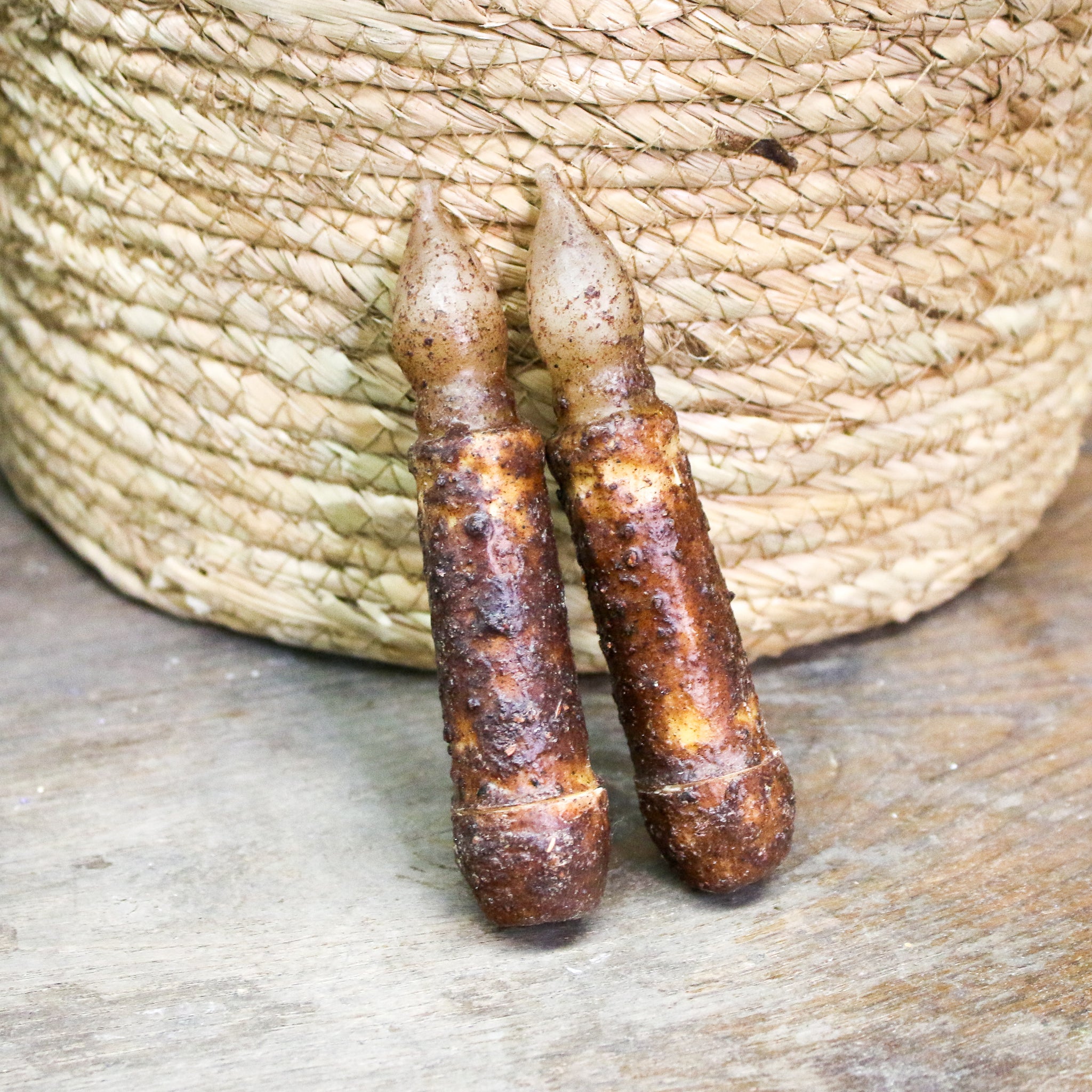 4" Brown Timer Taper - Set of 2