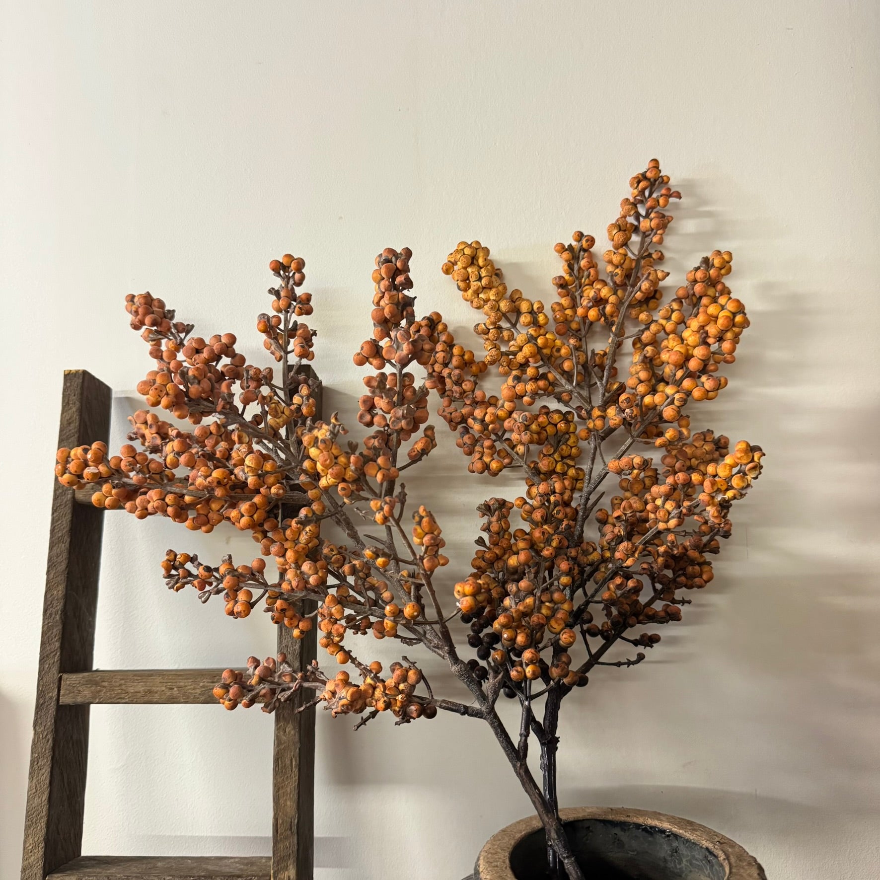 Rustwood Berry Bush - Set of 2