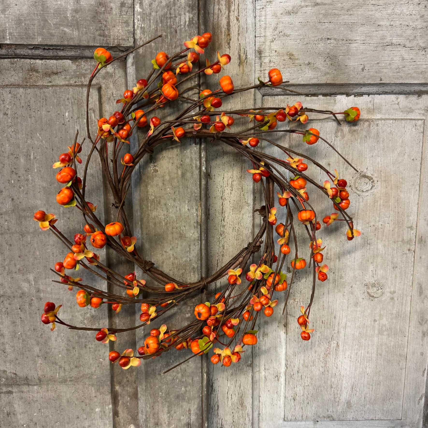 Bittersweet Pumpkin Candle Ring - 6.5"
