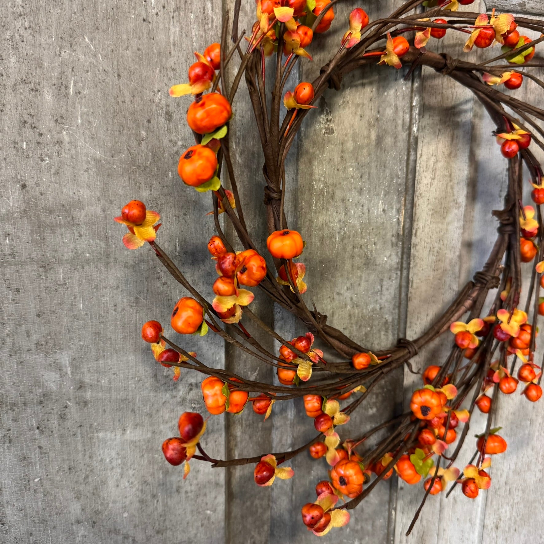 Bittersweet Pumpkin Candle Ring - 6.5"