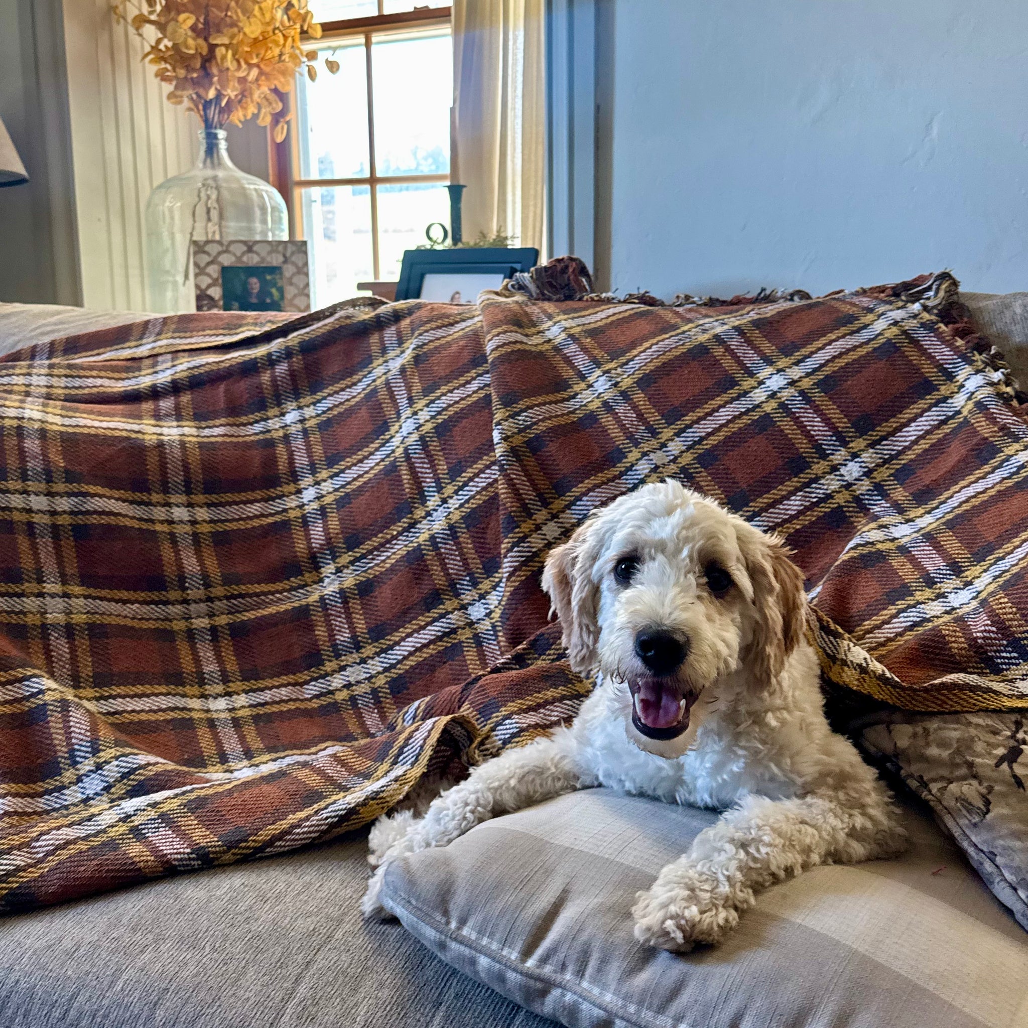 Plaid Fall Throw Blanket