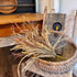 Autumn Days Bush - Set of 2 - Fall Decorating