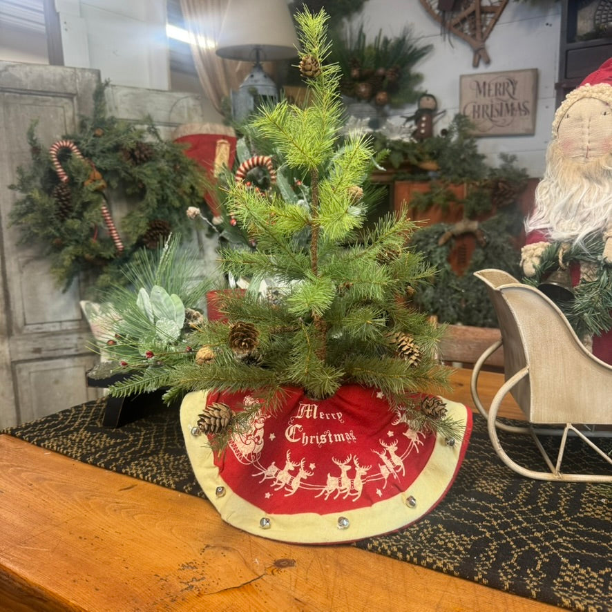 Merry Christmas Tree Skirt