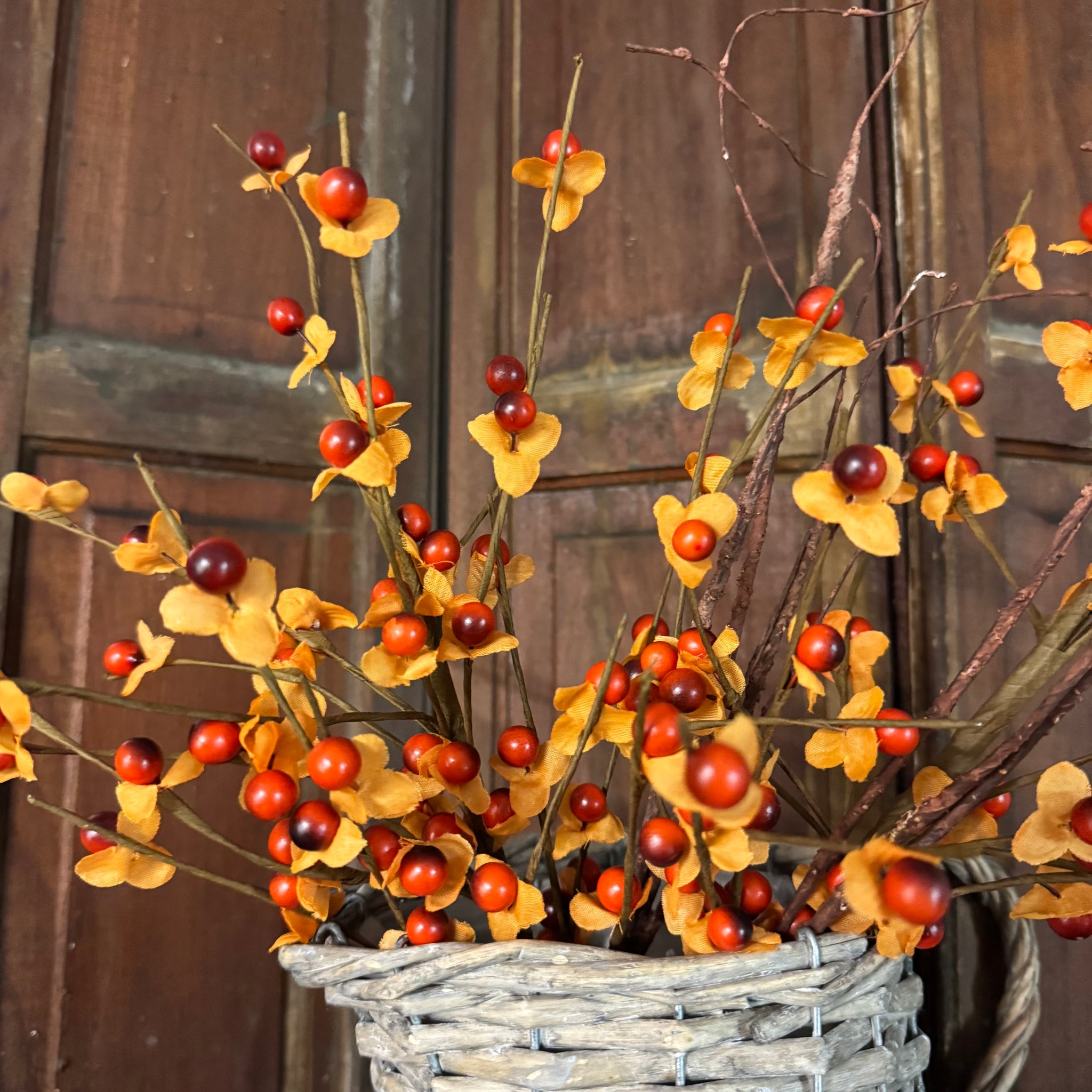 Bittersweet Berry Picks - Set of 2