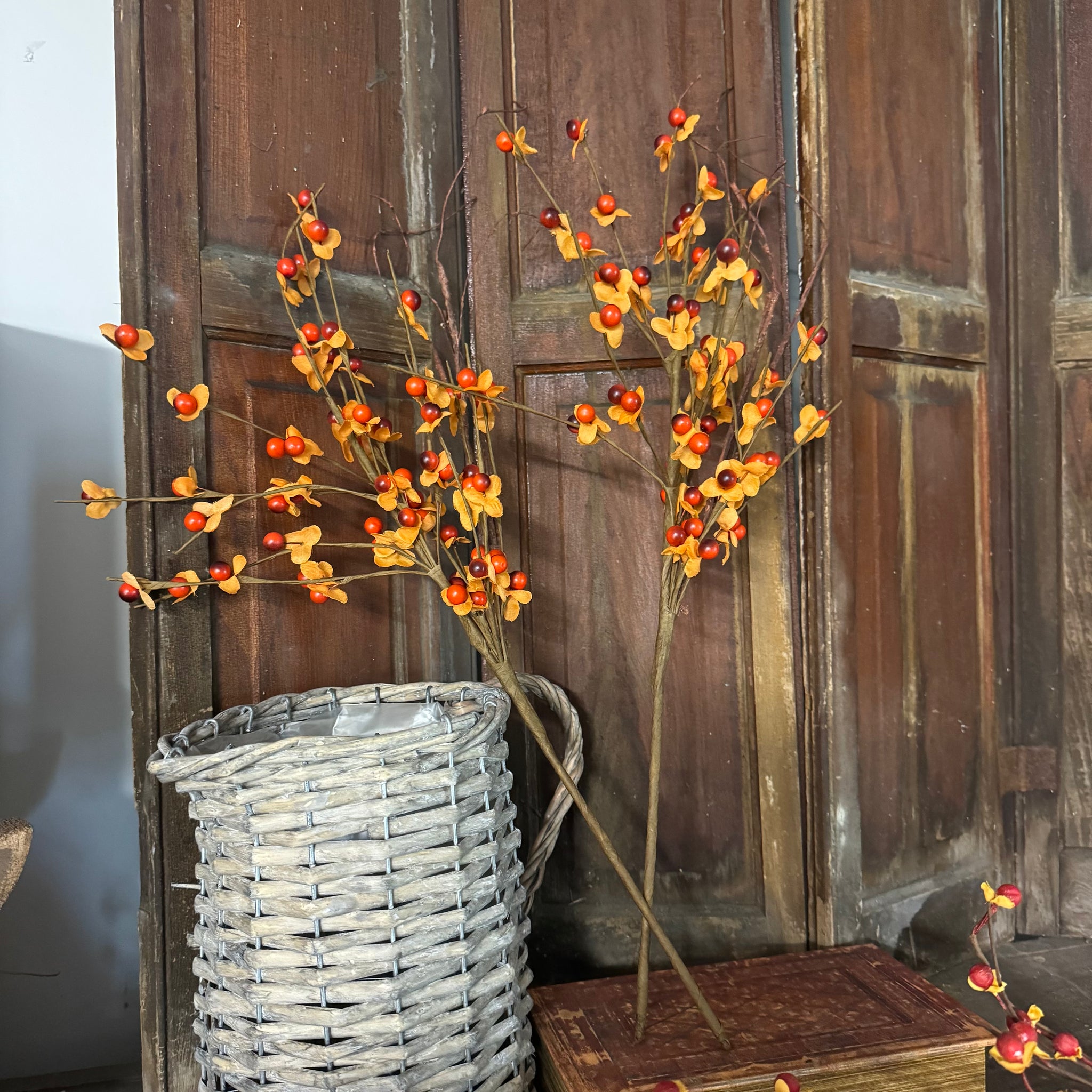 Bittersweet Berry Picks - Set of 2