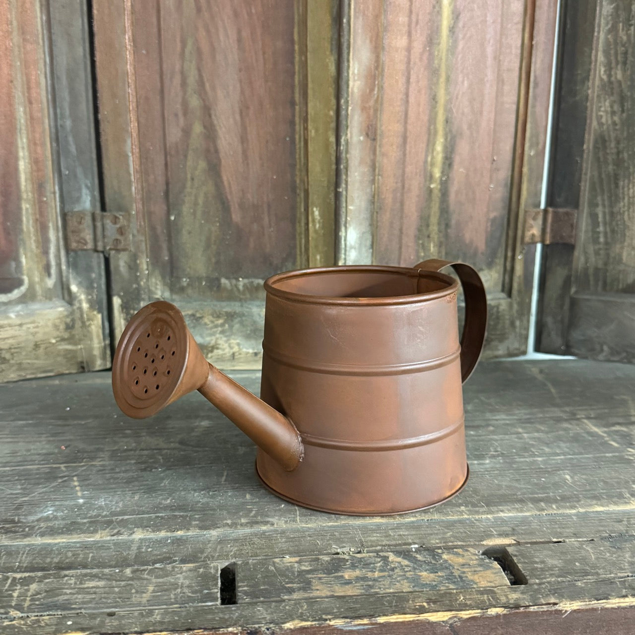 Rusty Watering Can