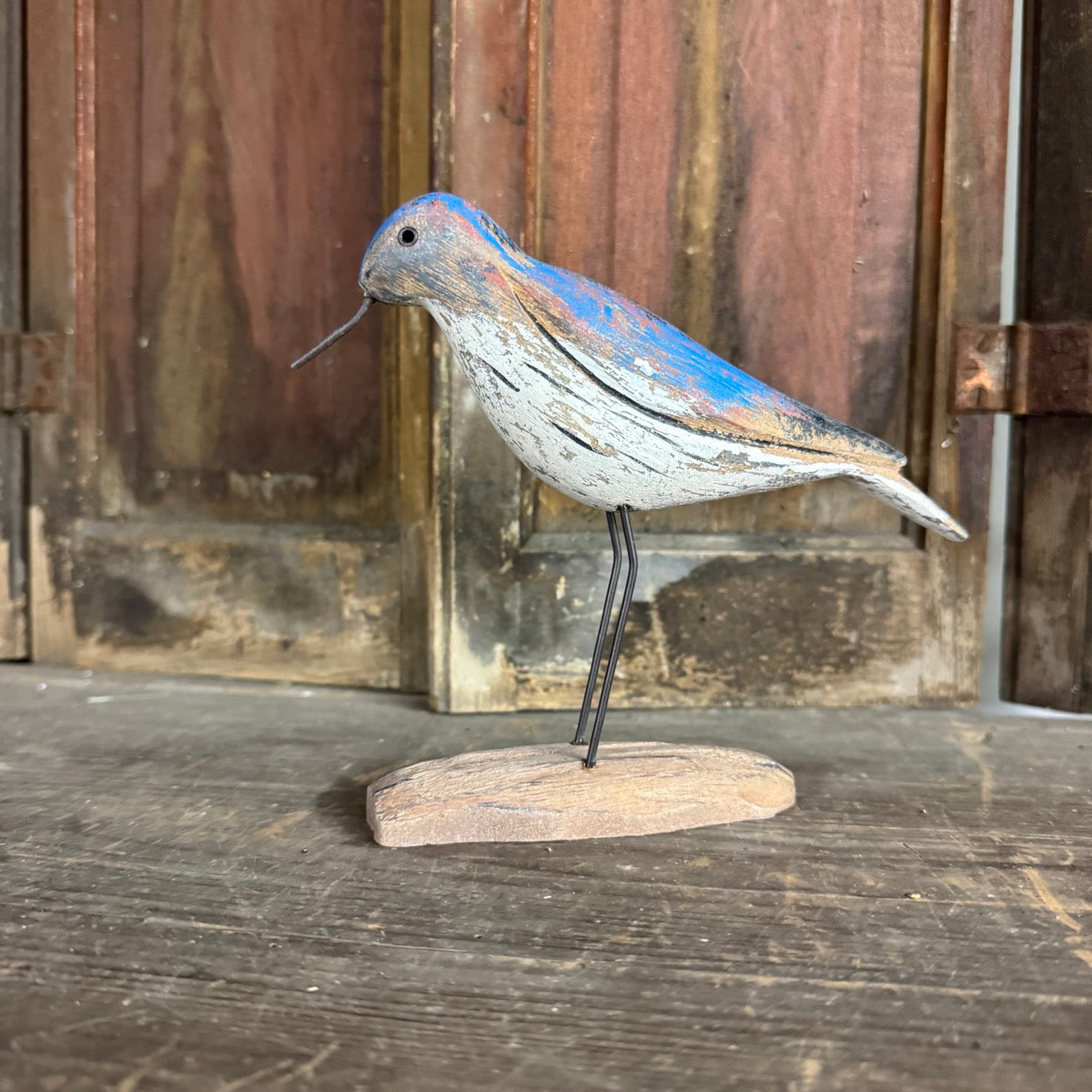Blue Willet Bird