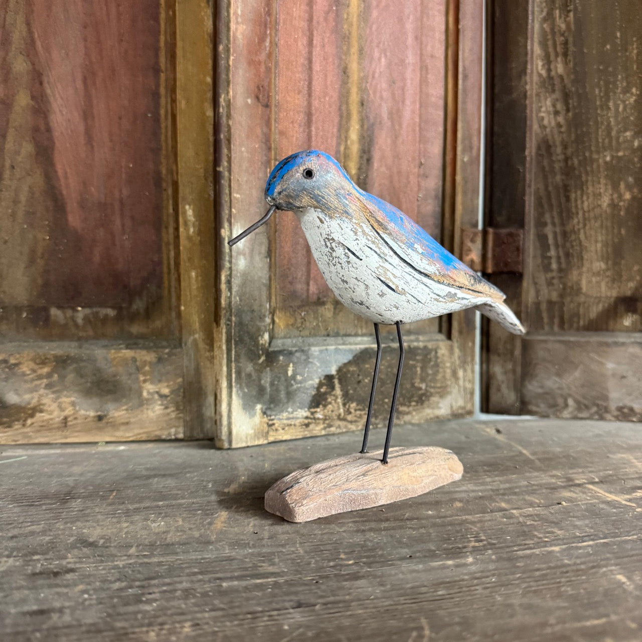 Blue Willet Bird
