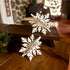 Winter White Snowflakes - Set of 2