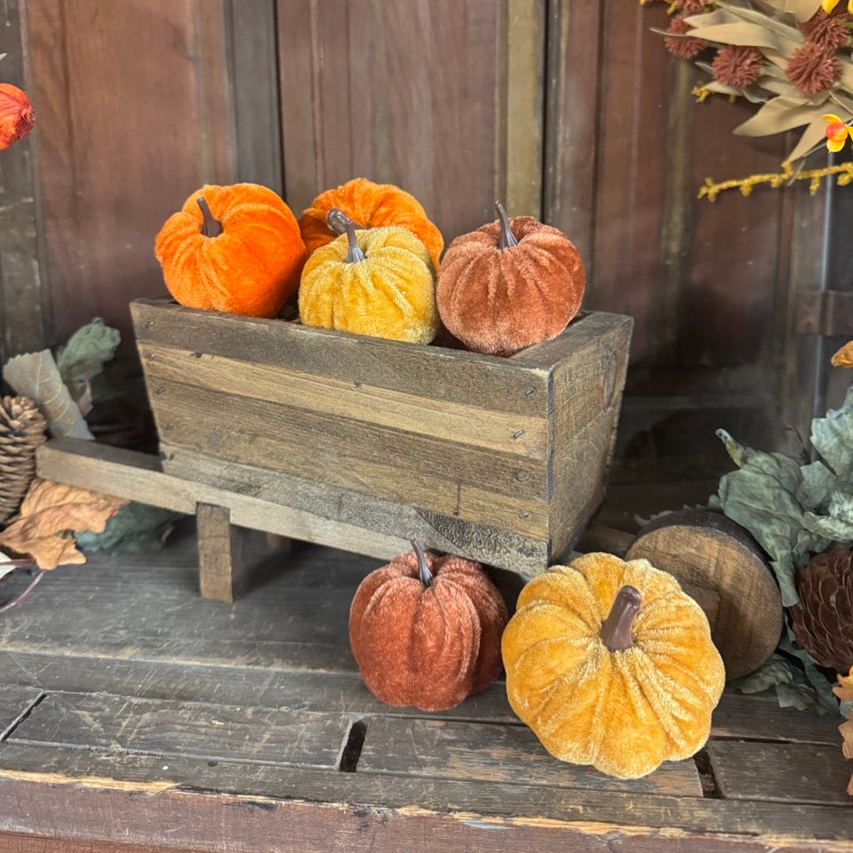 Pumpkin & Pinecones
