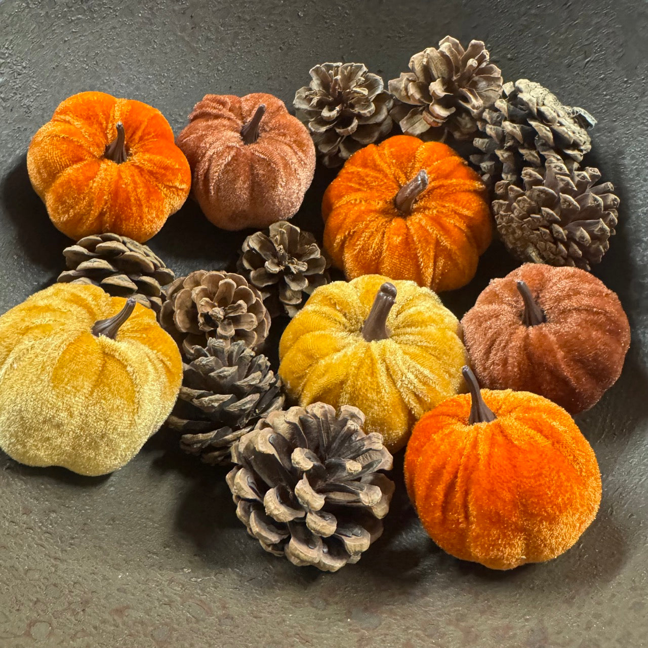 Pumpkin & Pinecones
