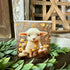 Little Lamb Wooden Block