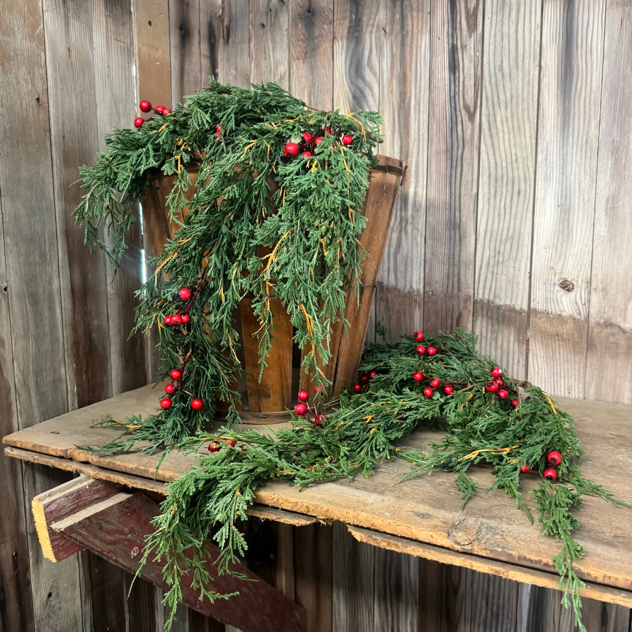 Draping Forest Cedar w/Red Berries - Set of 2