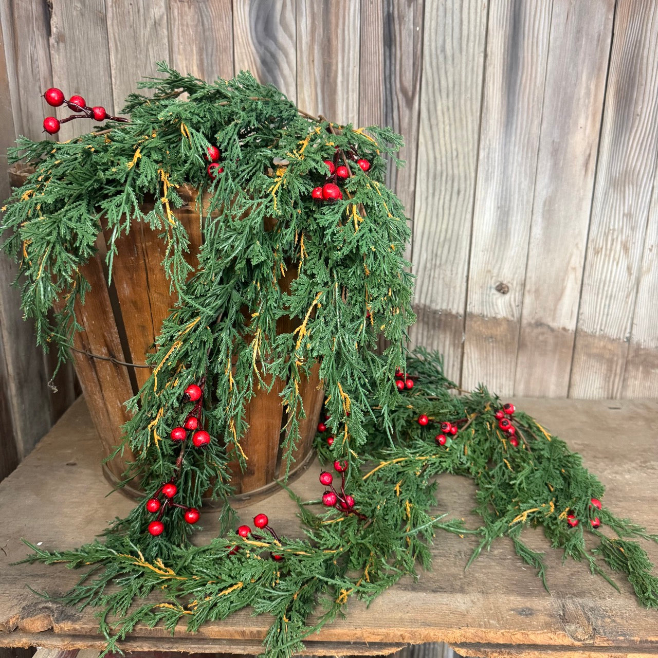 Draping Forest Cedar w/Red Berries - Set of 2