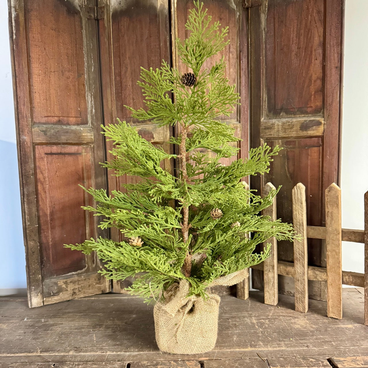 Primitive Hemlock Tree - 24"