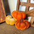 Mini Pumpkin Set of 3