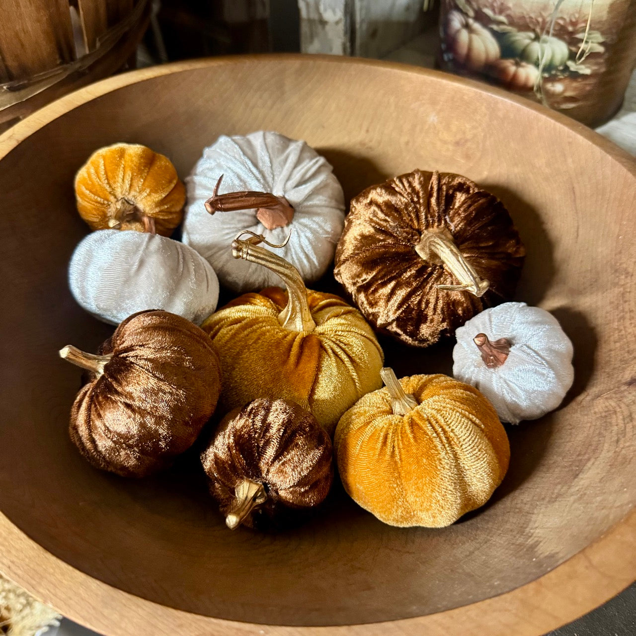 Autumn Velvet Pumpkins
