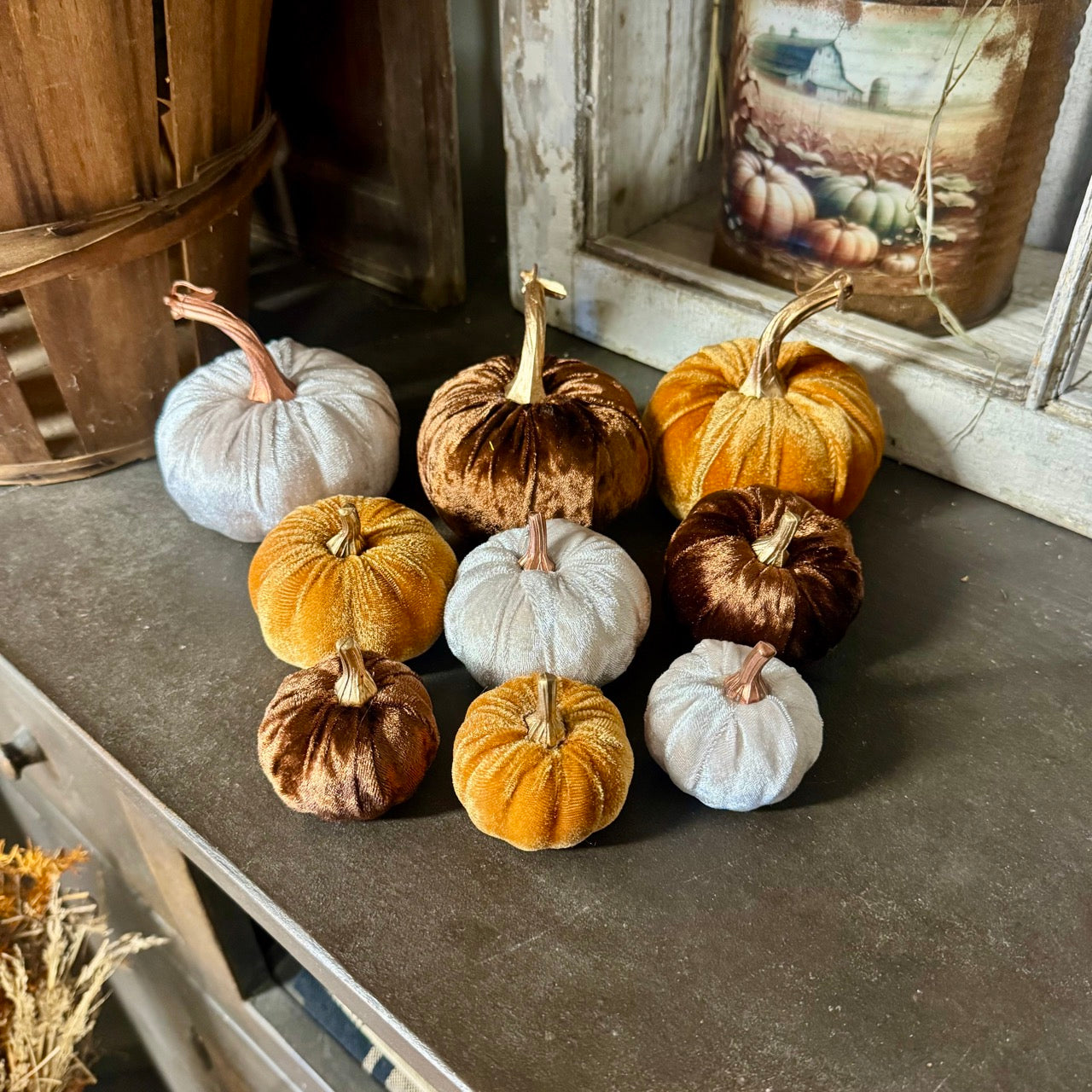 Autumn Velvet Pumpkins