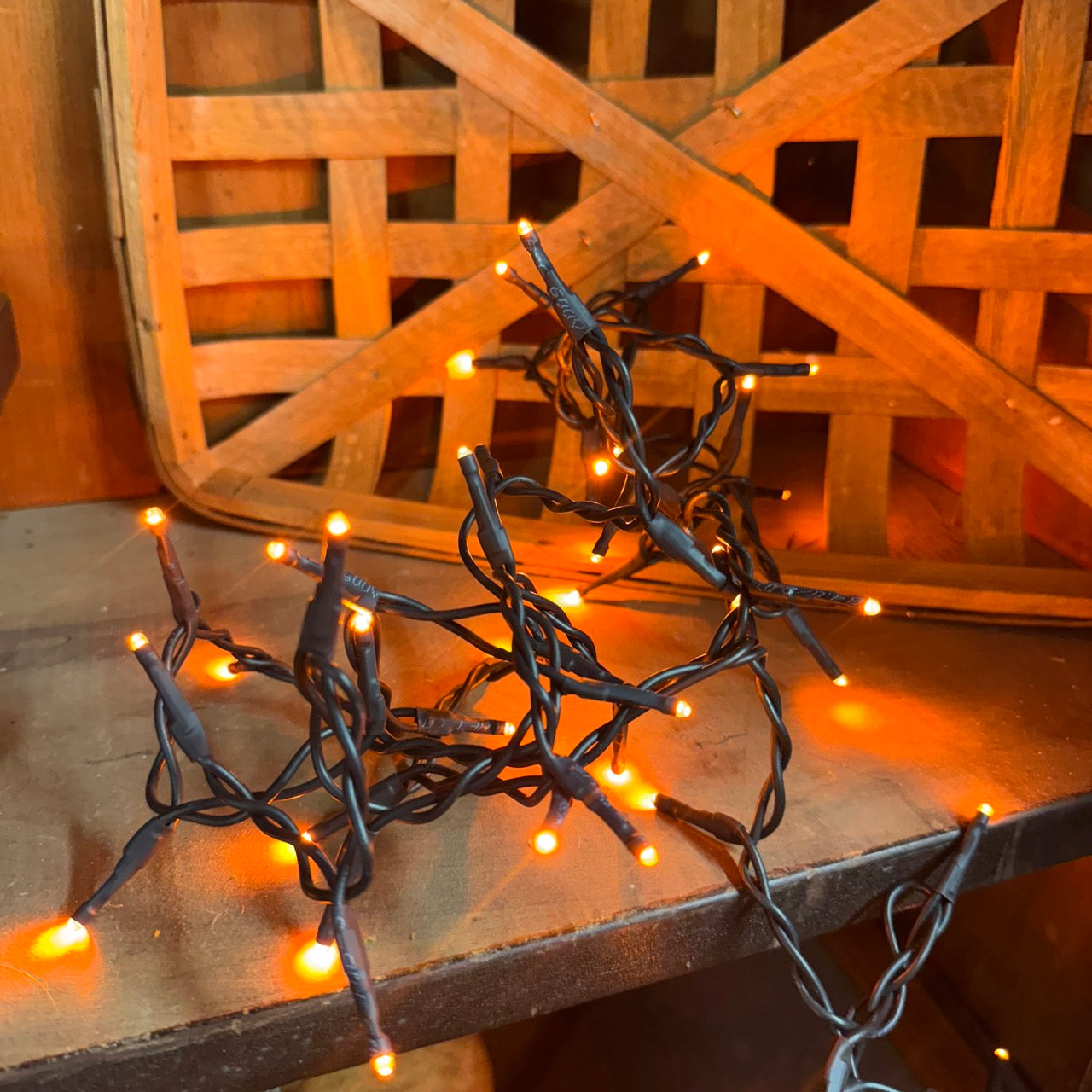 Pumpkin Glow Light Strand – 50 Orange Teeny Lights