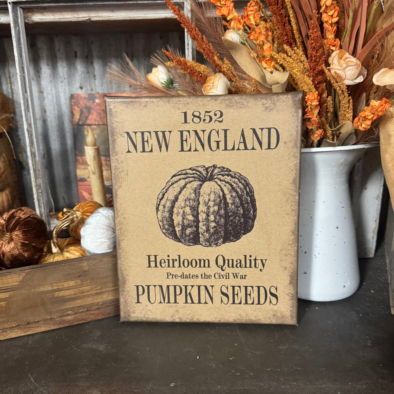 New England  Pumpkin Seeds