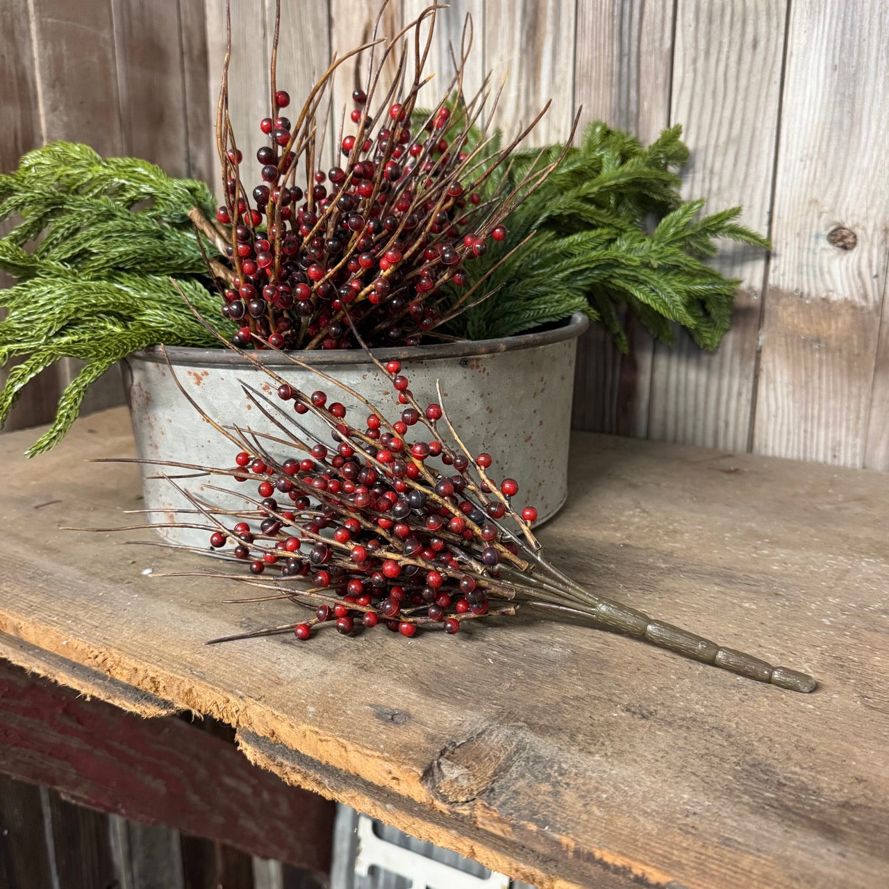 Cranberry Bush