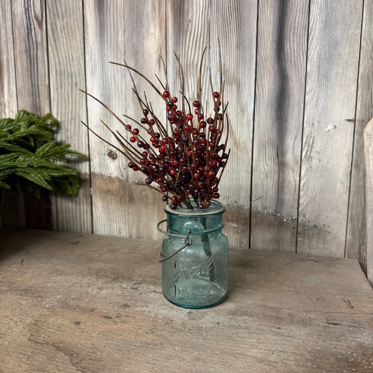 Cranberry Bush