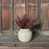 Birchwood Vase