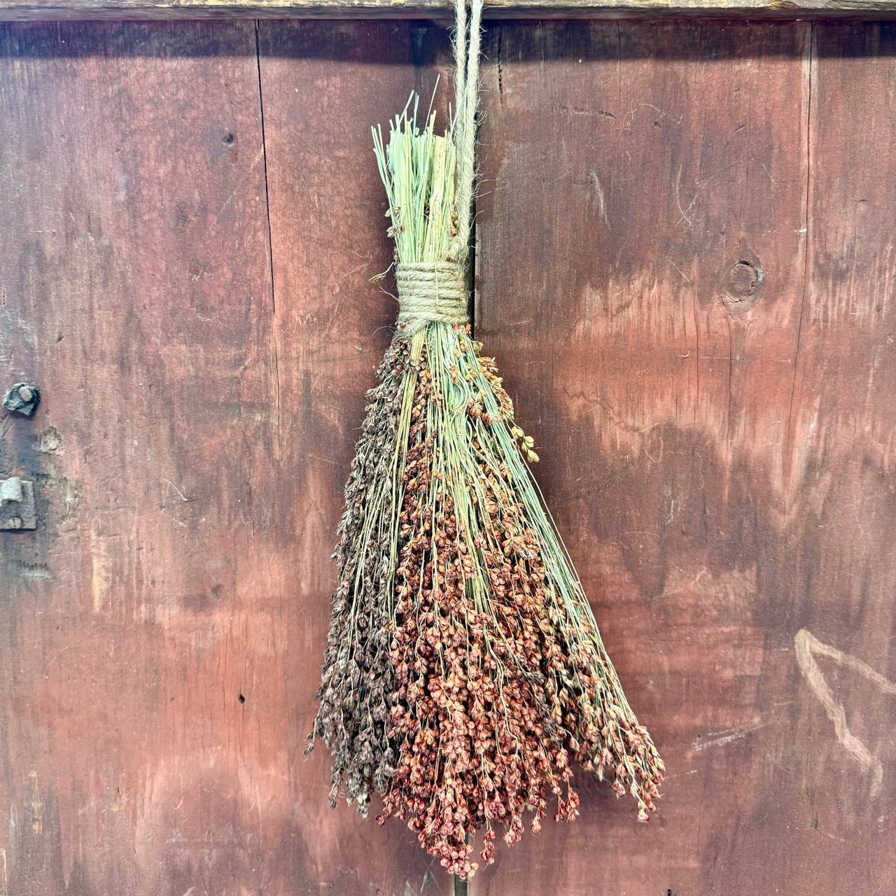 Dried Broom Corn Bunch