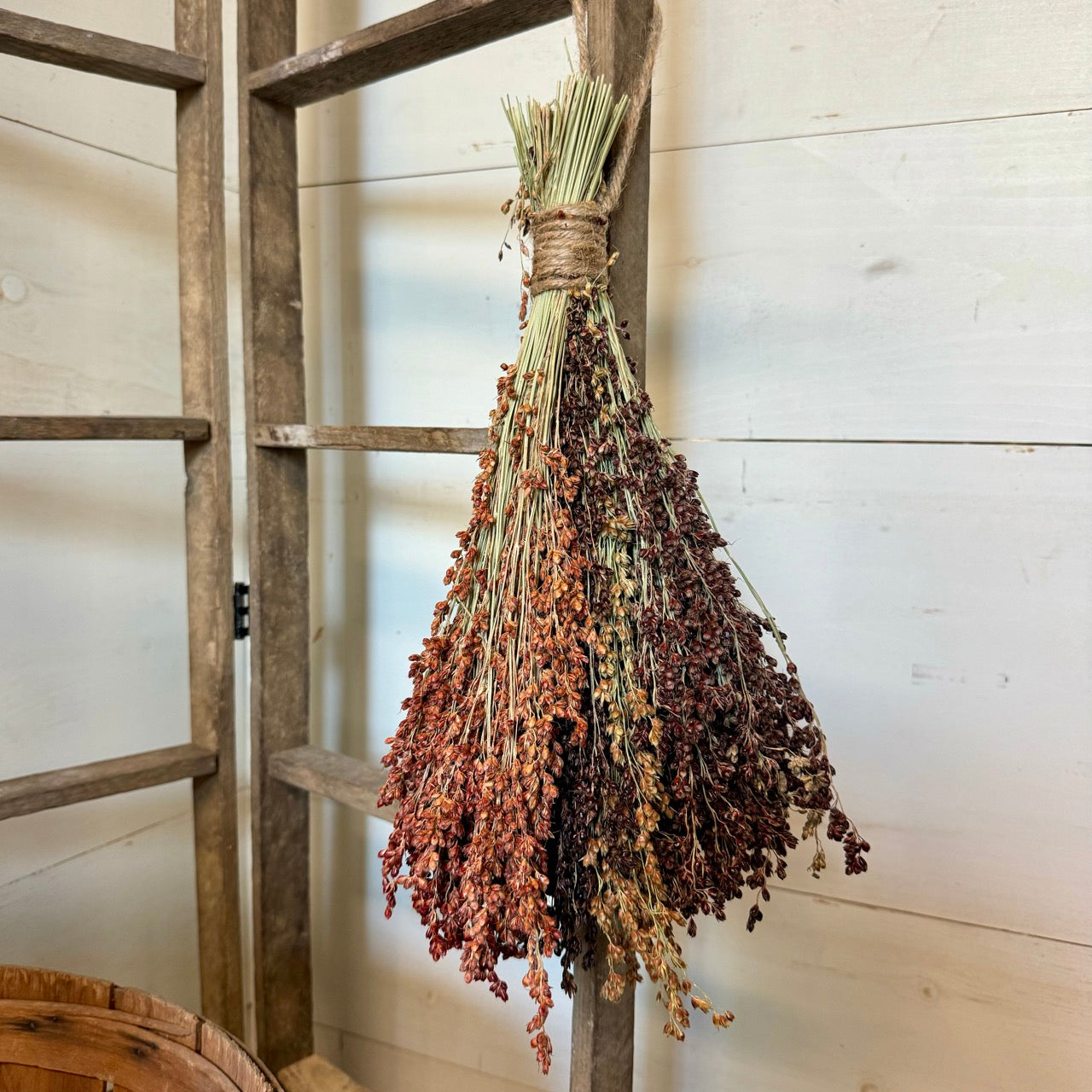 Dried Broom Corn Bunch