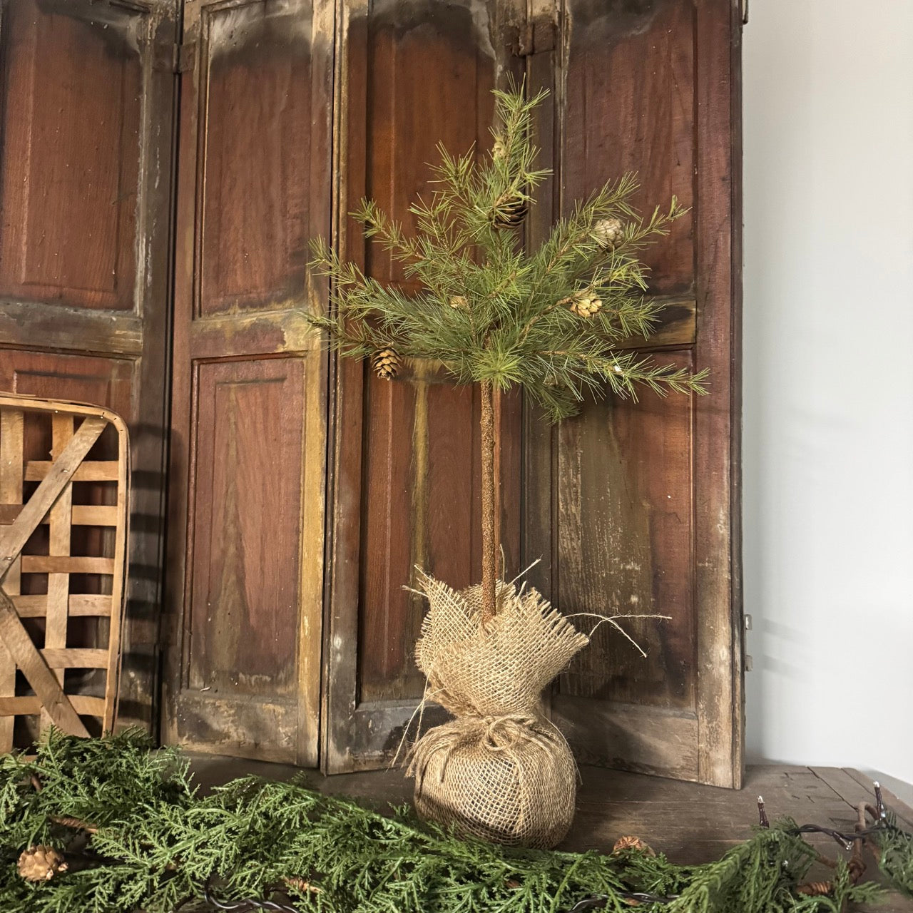 Pine Tree Topiary