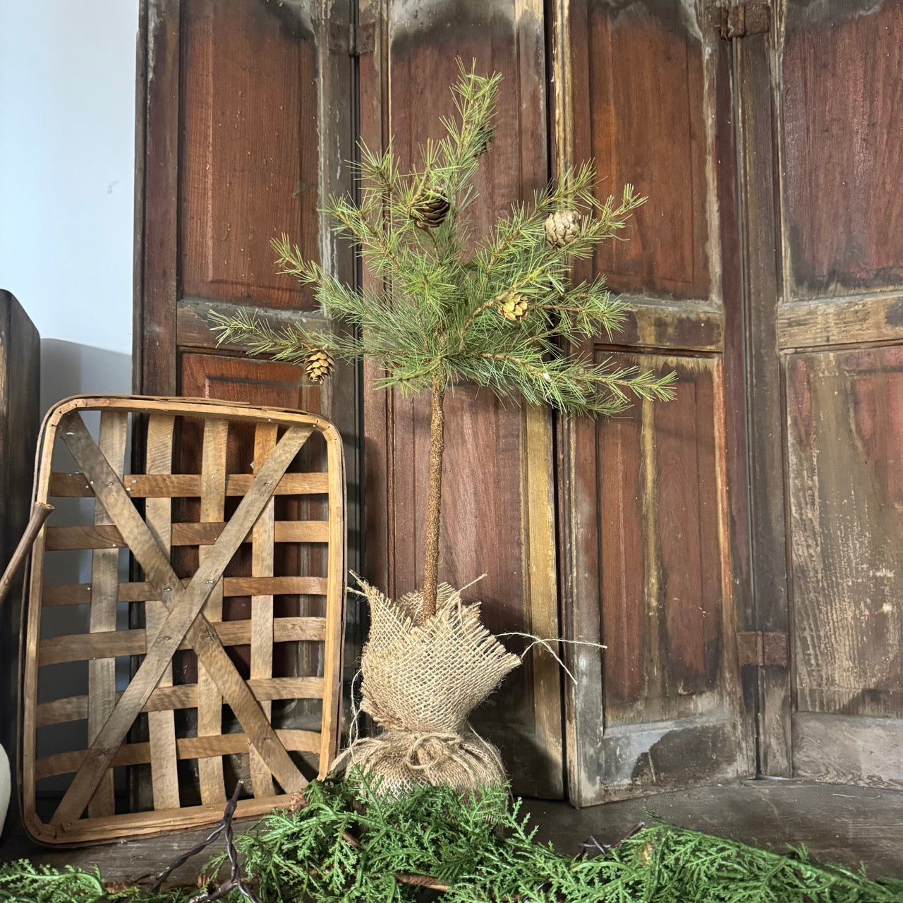 Pine Tree Topiary
