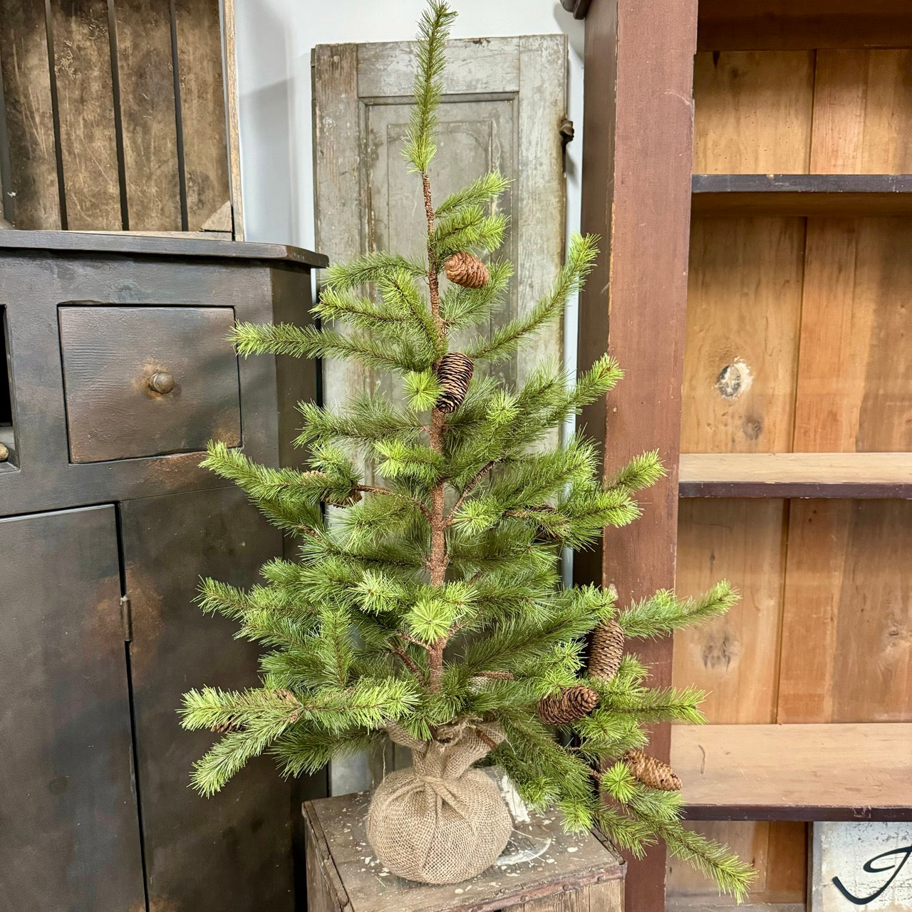 3' Winter Pine Tree