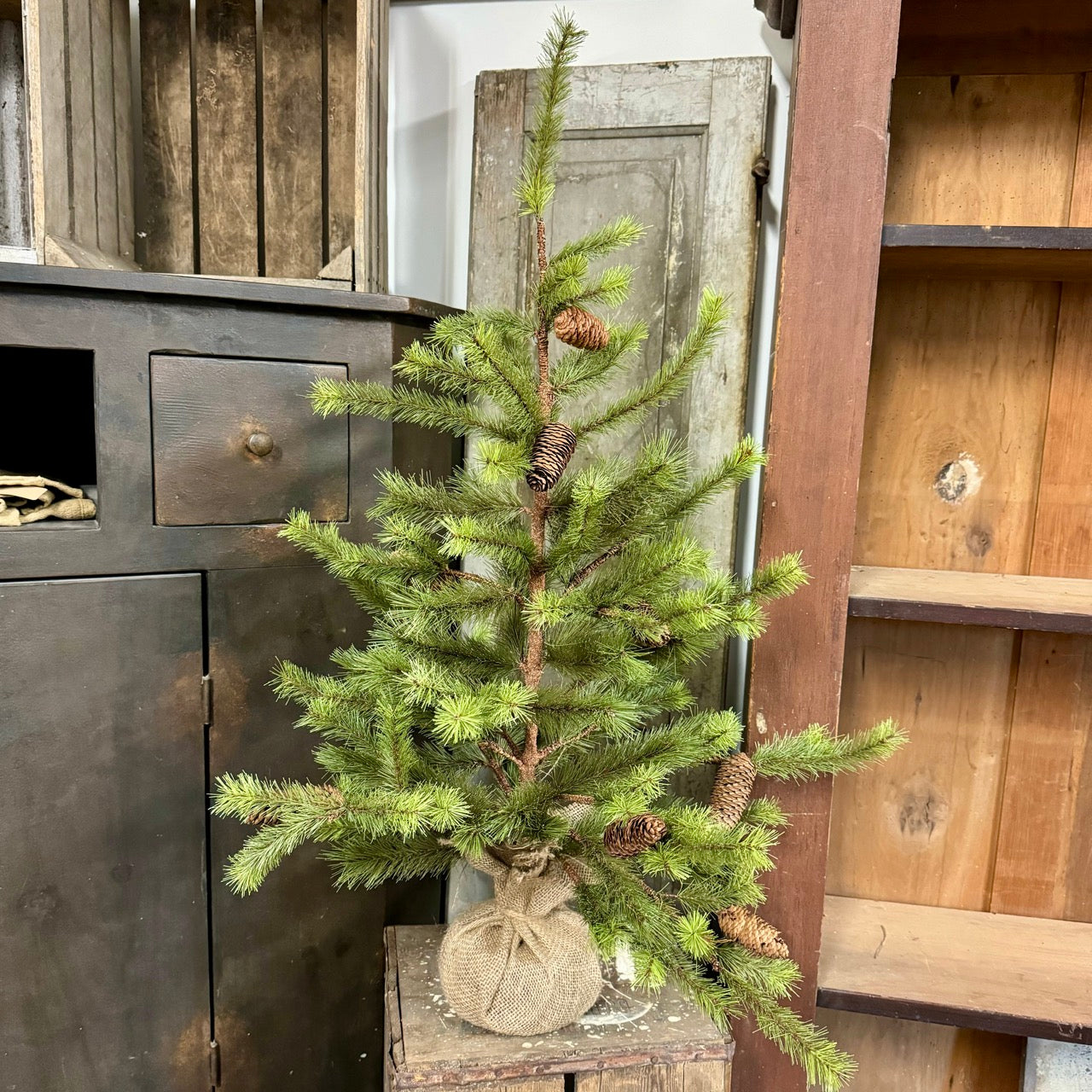 3' Winter Pine Tree