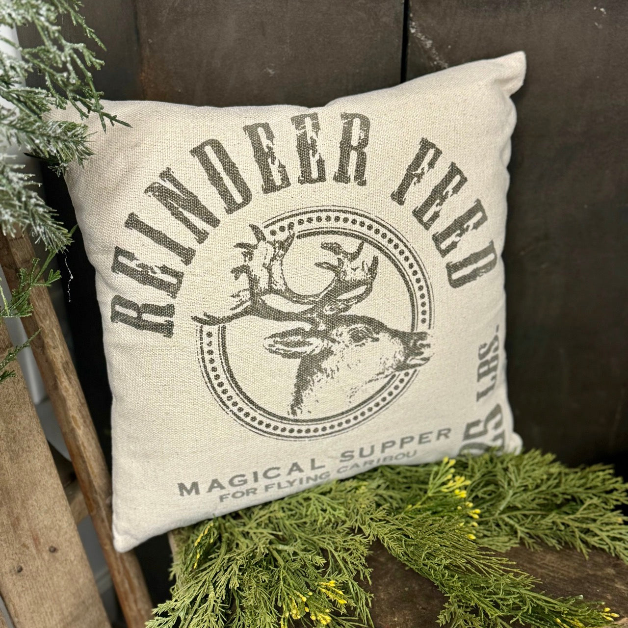 Reindeer Feed - Pillow