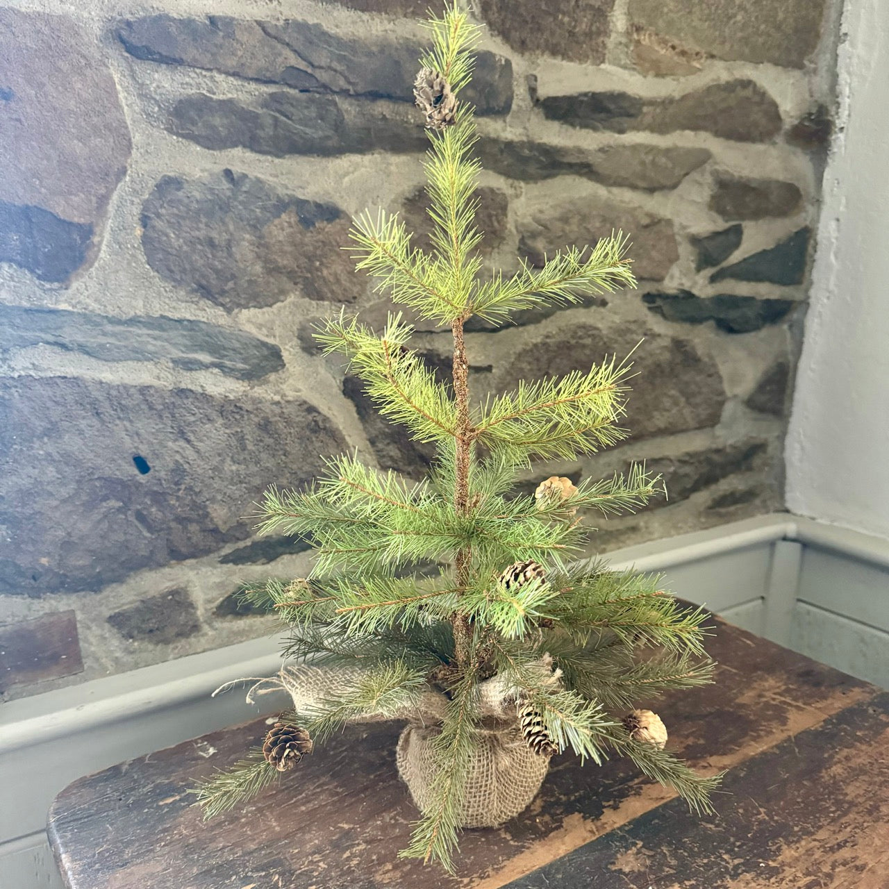 18" Pine Tree