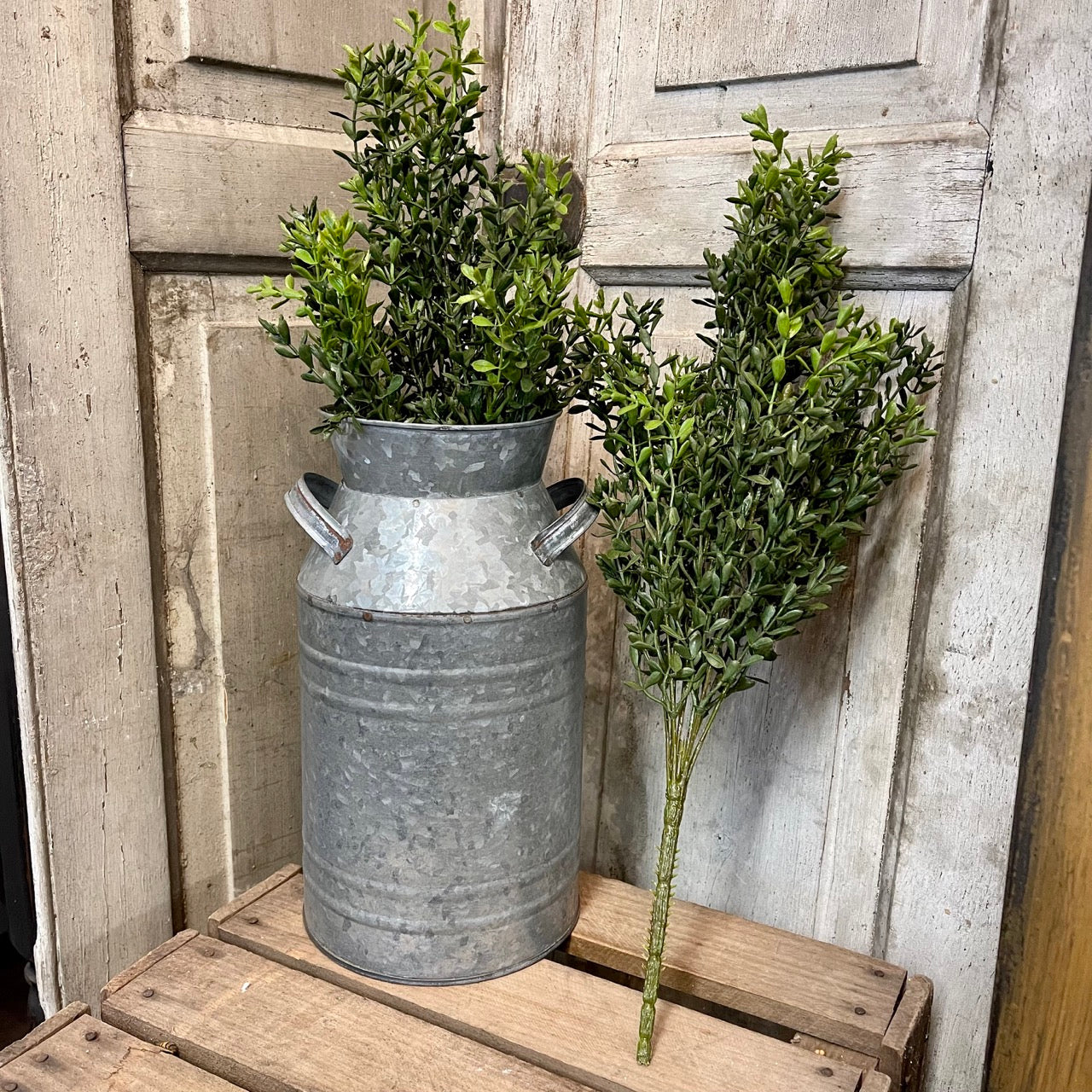 Boxwood Bush - Set of 2 Artificial Spring Plants, Farmhouse Spring Decor, Farmhouse Spring Decorating, Faux Greenery, New, Spring Decor, Spring Decorating, Spring Floral, Spring Florals, Spring Flowers, Spring Home Decor, Summer, Summer Decor, Summer Floral, Top Spring Products 