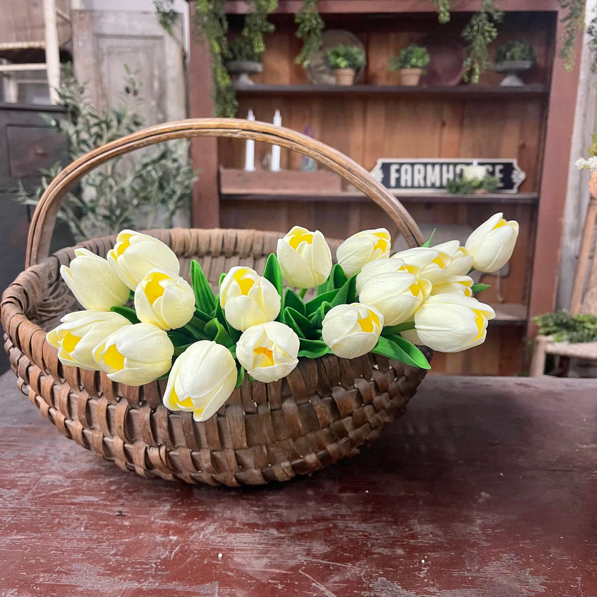 White Tulip Stems - Set of 20