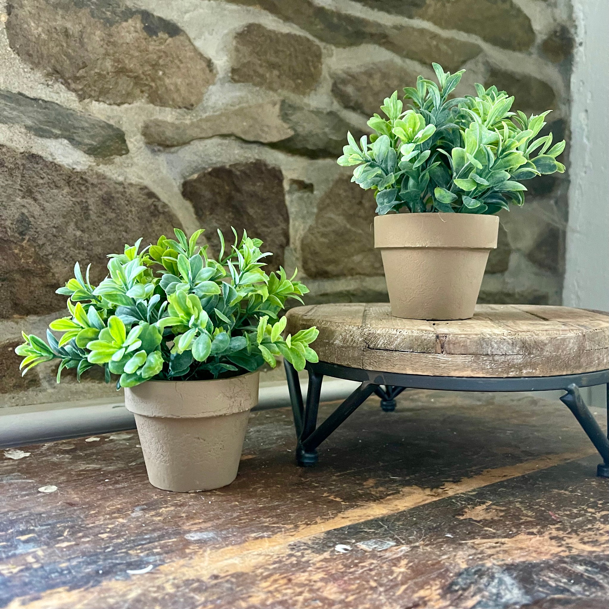 Faux Potted Herbs - Set of 2