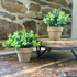 Potted Herbs Artificial Set of 2