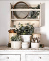 Hudson Bowl Rack