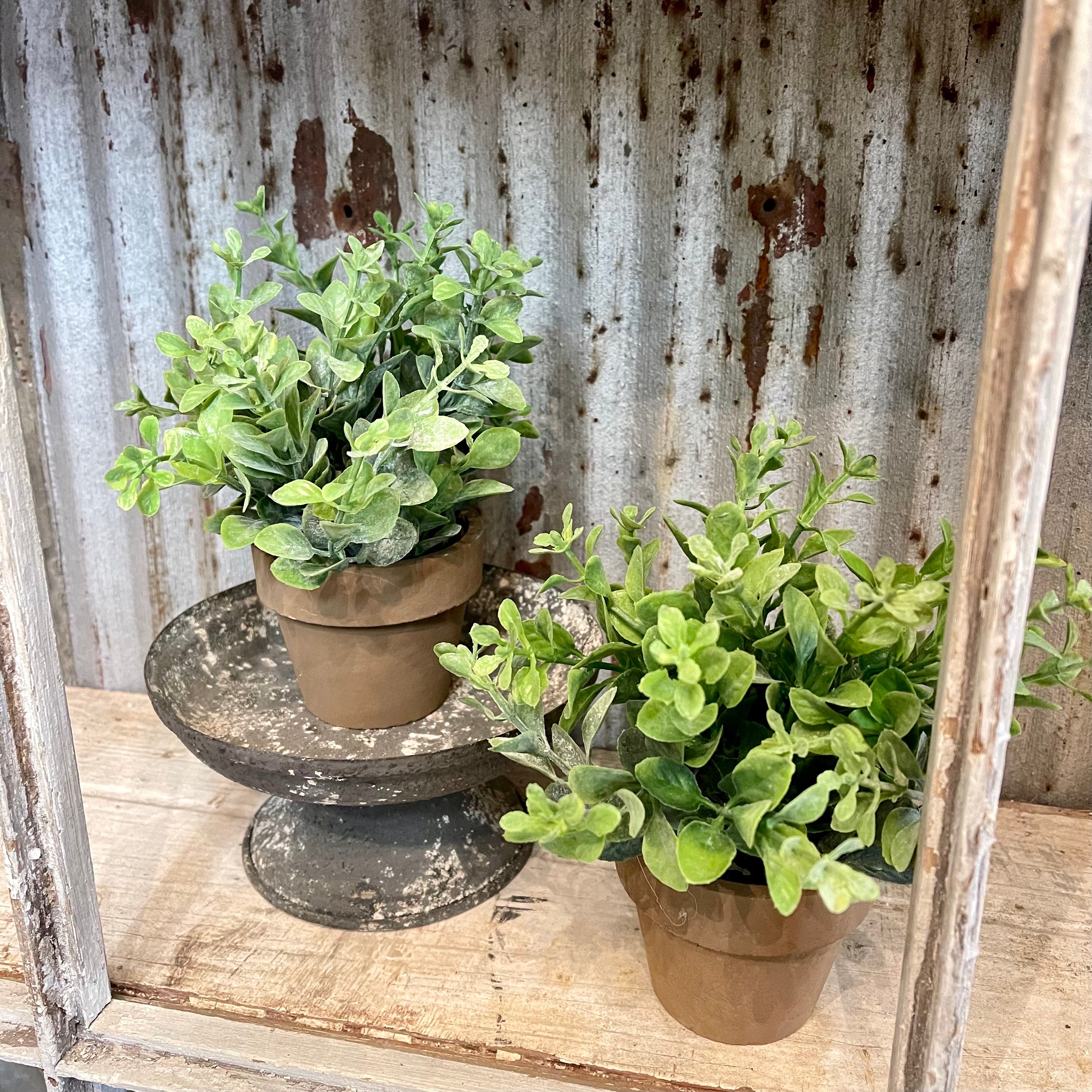 Faux Potted Herbs - Set of 2 –