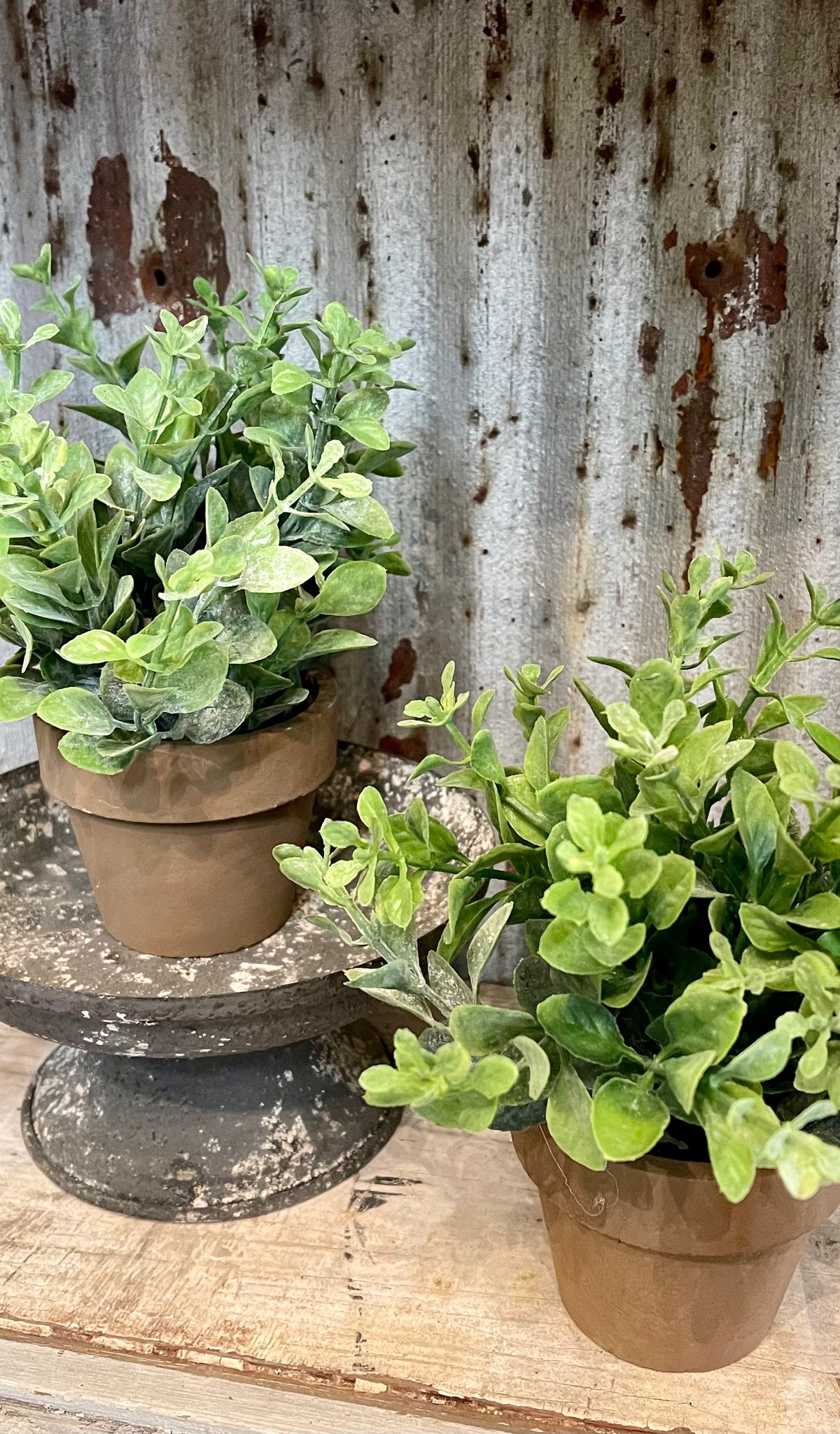 Faux Potted Herbs Set of 2 Red Fox Primitives