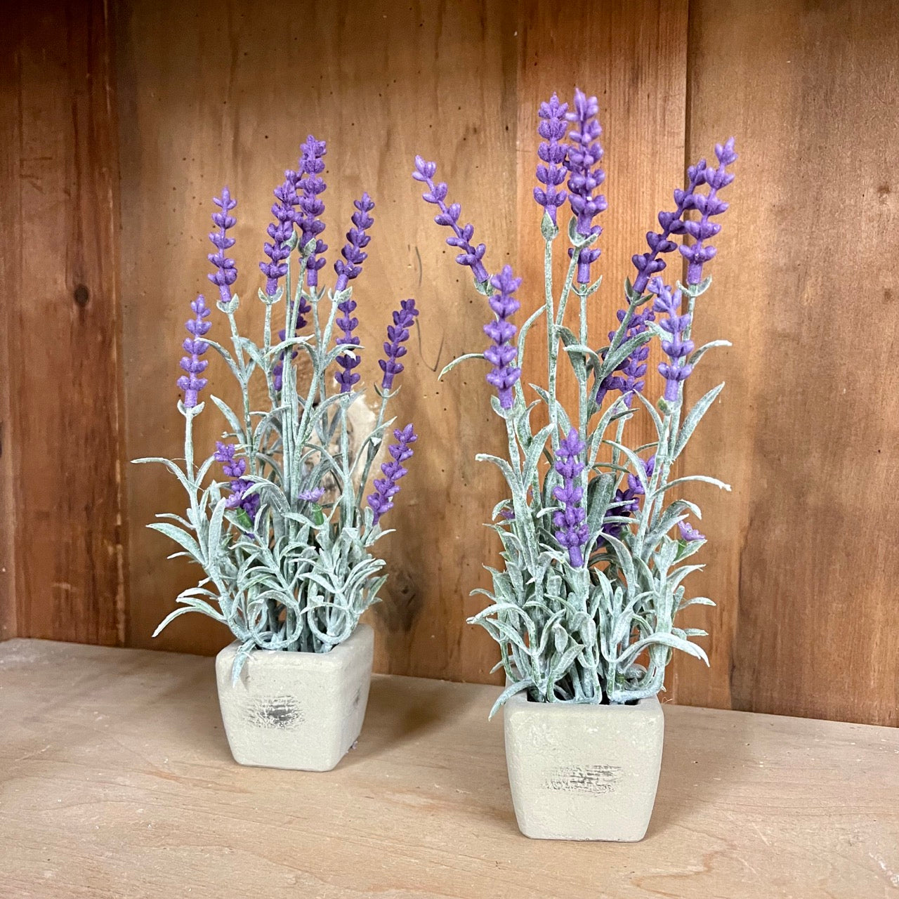 Potted Lavender Set of 2 | Faux Everyday Flowers Farmhouse Spring Decor, Farmhouse Spring Decorating, New, Primitive Spring Decor, Spring Decor, Spring Decorating, Spring Farmhouse Decor, Spring Floral, Spring Floral Ring, Spring Flowers, Spring Home Decor, Top Spring Products 